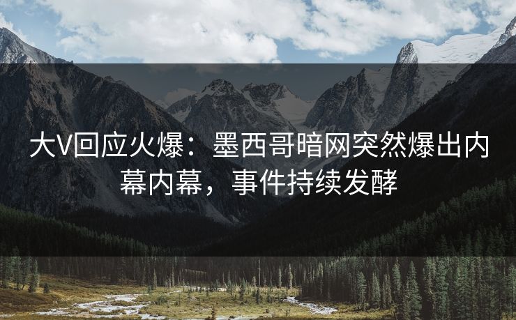 大V回应火爆：墨西哥暗网突然爆出内幕内幕，事件持续发酵