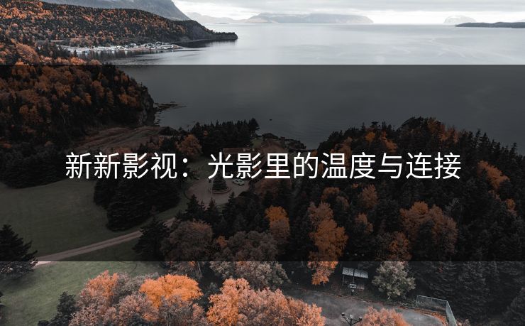 新新影视：光影里的温度与连接