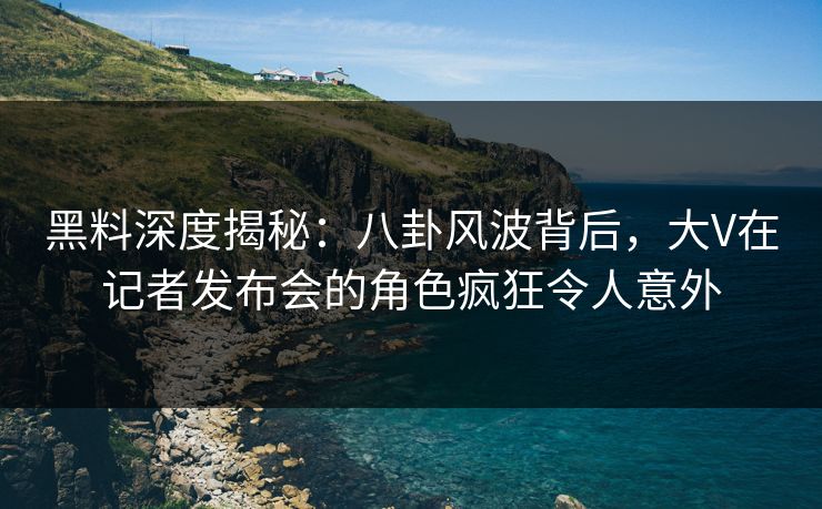 黑料深度揭秘：八卦风波背后，大V在记者发布会的角色疯狂令人意外