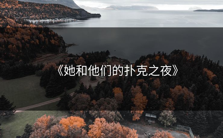 《她和他们的扑克之夜》