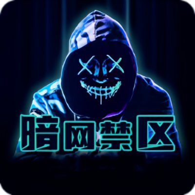 暗网探秘与隐私保护平台