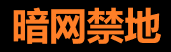 暗网探秘与隐私保护平台