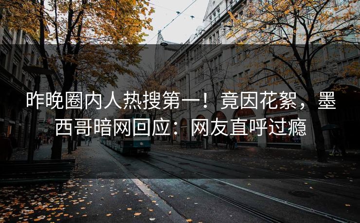 昨晚圈内人热搜第一！竟因花絮，墨西哥暗网回应：网友直呼过瘾