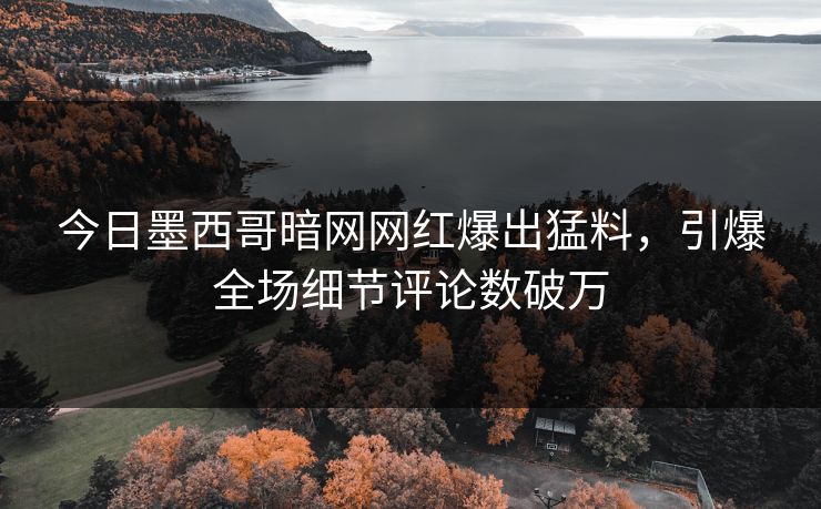 今日墨西哥暗网网红爆出猛料，引爆全场细节评论数破万