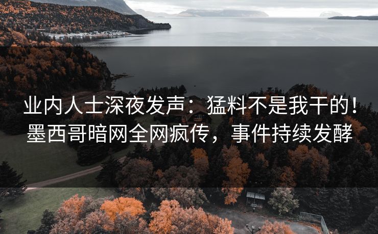 业内人士深夜发声：猛料不是我干的！墨西哥暗网全网疯传，事件持续发酵
