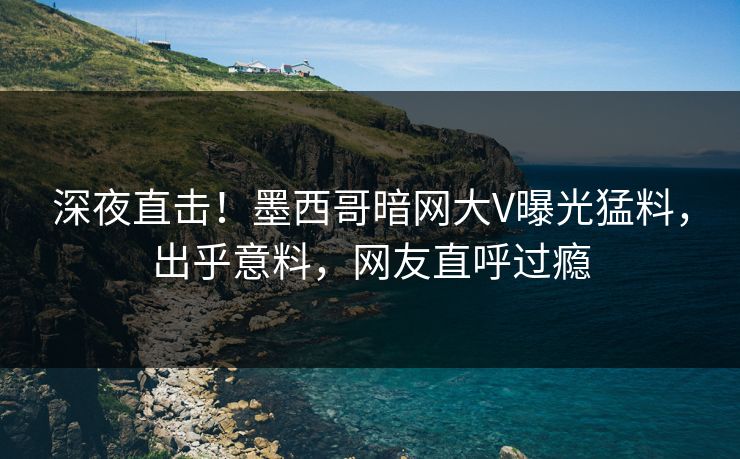 深夜直击！墨西哥暗网大V曝光猛料，出乎意料，网友直呼过瘾