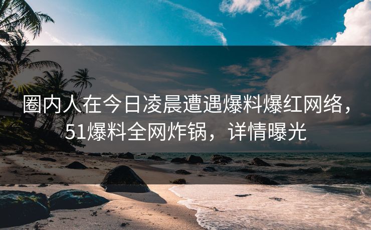 圈内人在今日凌晨遭遇爆料爆红网络，51爆料全网炸锅，详情曝光