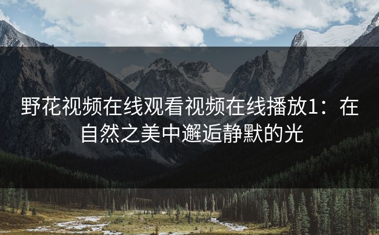 野花视频在线观看视频在线播放1：在自然之美中邂逅静默的光