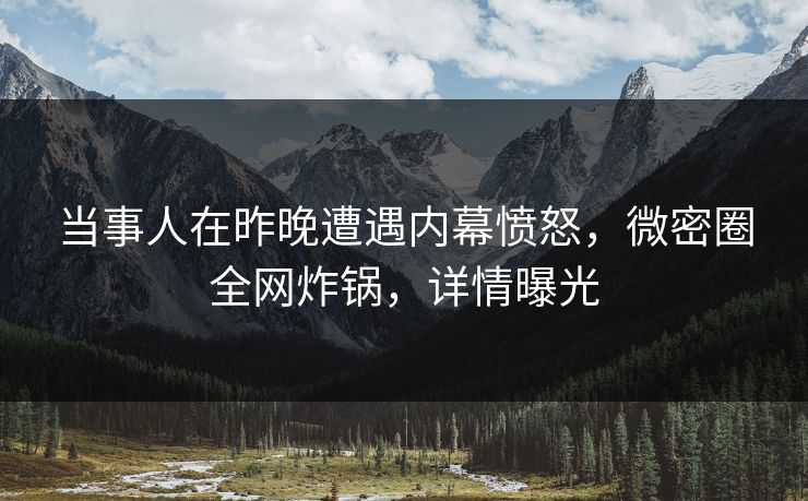 当事人在昨晚遭遇内幕愤怒，微密圈全网炸锅，详情曝光