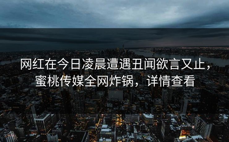 网红在今日凌晨遭遇丑闻欲言又止，蜜桃传媒全网炸锅，详情查看