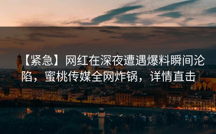 【紧急】网红在深夜遭遇爆料瞬间沦陷,蜜桃传媒全网炸锅,详情直击 【紧急】网红在深夜遭遇爆料瞬间沦陷,蜜桃传媒全网炸锅,详情直击