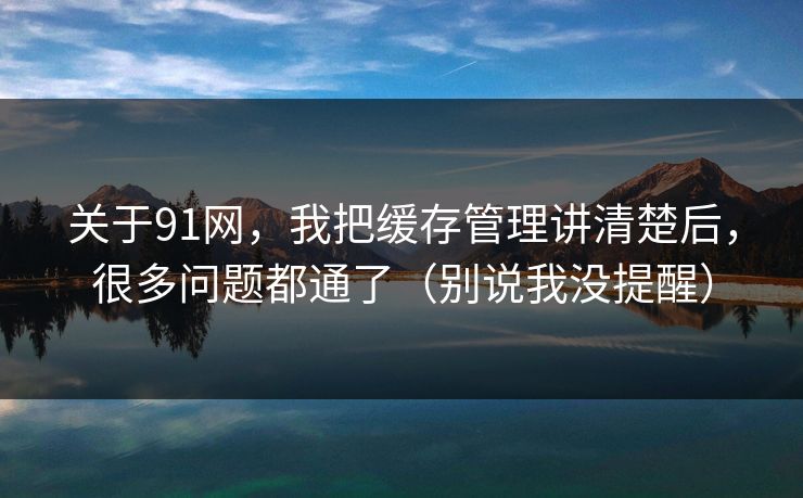 关于91网，我把缓存管理讲清楚后，很多问题都通了（别说我没提醒）